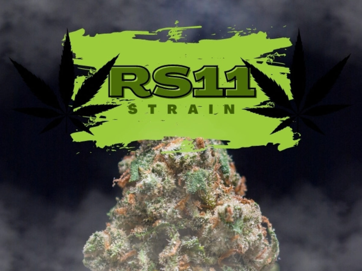 rs11 strain online
